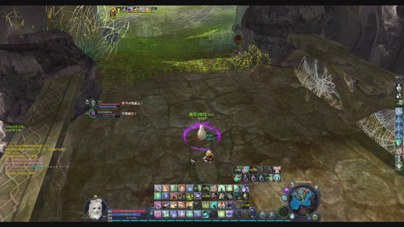 【2026-02-09 完整版】小葵花宝宝丶：有什么冲我来，别打我的DPS！