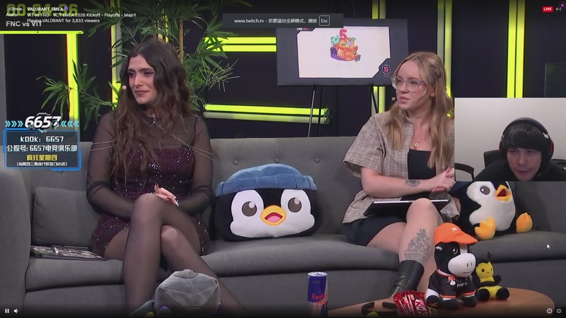 【2026-02-13 20点场】CSGO解说伟伟：Fnatic VS 小蜜蜂 BO3