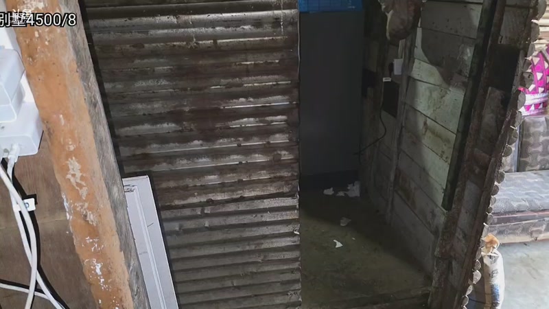 【2026-02-18 12点场】主播大飞牛肉：斯里兰卡真正的家今天开建山顶别墅