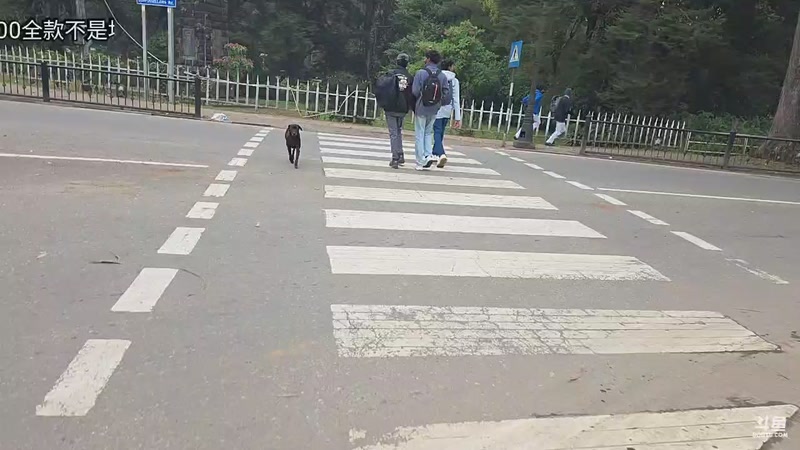 【2026-02-18 18点场】主播大飞牛肉：斯里兰卡真正的家今天开建山顶别墅