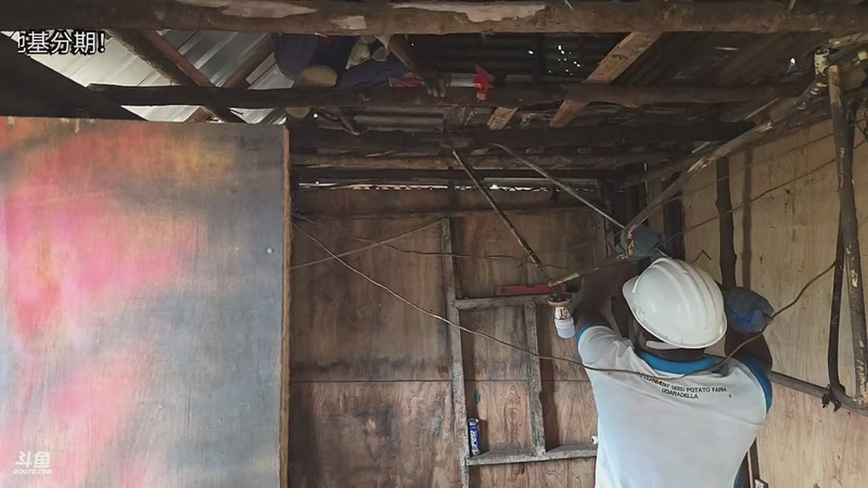 【2026-02-19 18点场】主播大飞牛肉：斯里兰卡真正的家今天开建山顶别墅