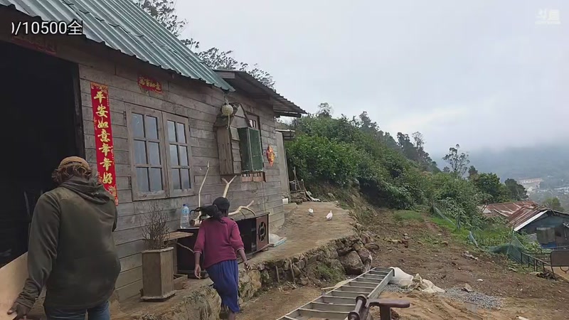 【2026-02-19 14点场】主播大飞牛肉：斯里兰卡真正的家今天开建山顶别墅