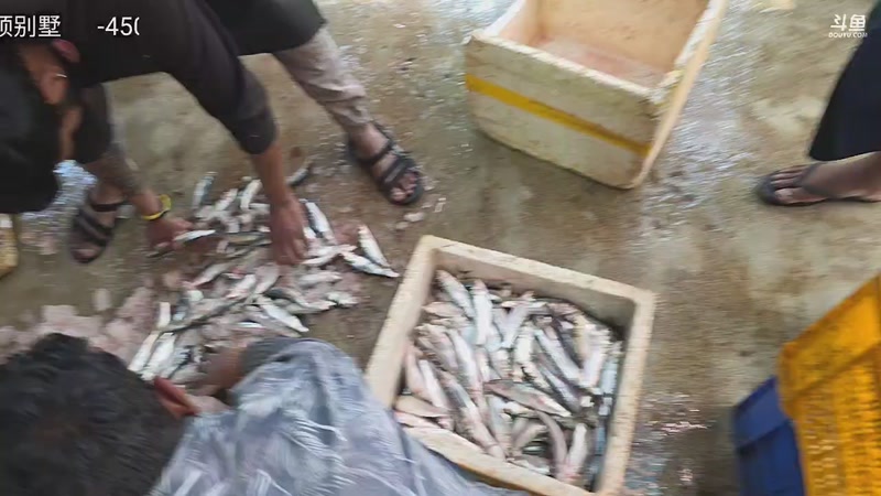 【2026-02-27 13点场】主播大飞牛肉：斯里兰卡贫民窟山顶别墅改造Day7