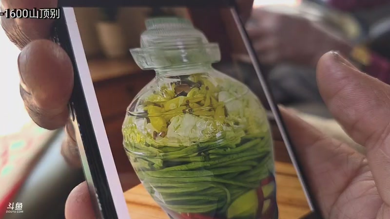 【2026-02-28 13点场】主播大飞牛肉：斯里兰卡贫民窟山顶别墅改造Day9