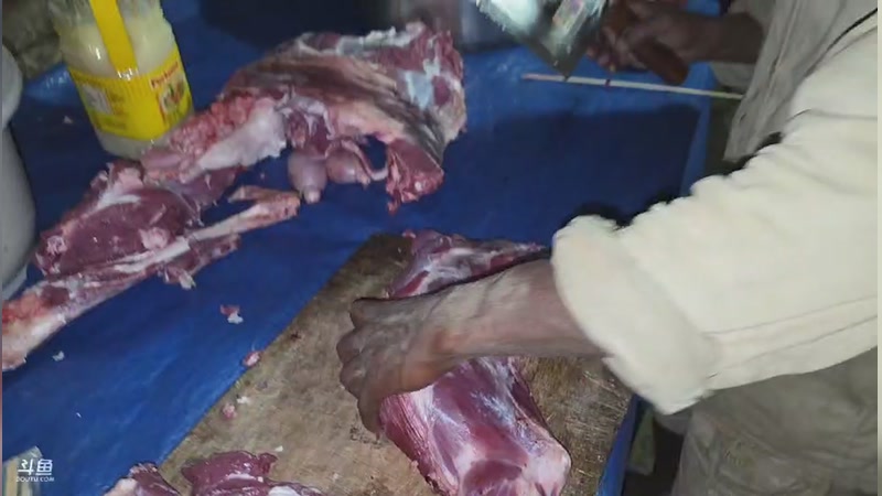 【2026-02-28 21点场】主播大飞牛肉：斯里兰卡贫民窟修建山顶别墅Day9