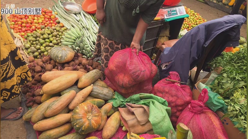 【2026-03-01 13点场】主播大飞牛肉：斯里兰卡贫民窟修建山顶别墅Day9