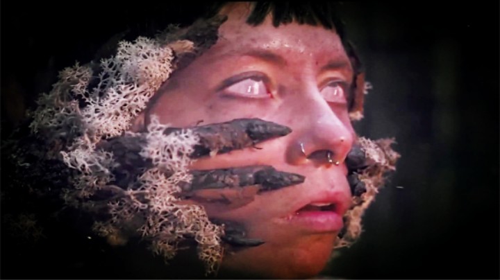 缓慢叙事，适合助眠！黑森林女巫恐怖传说！黑玩怕怕《幽林深处》全流程实况解说