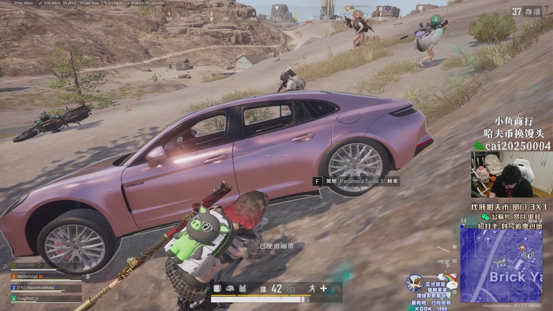 【2026-03-01 23点场】pigff：【PIGFF】BLINDSPOT