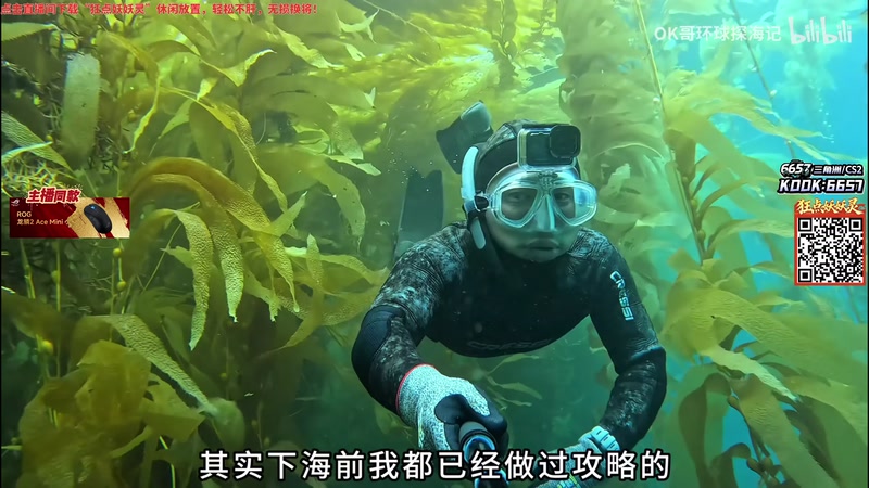 【2026-03-19 19点场】玩机器丶Machine：小众宝藏结晶直播