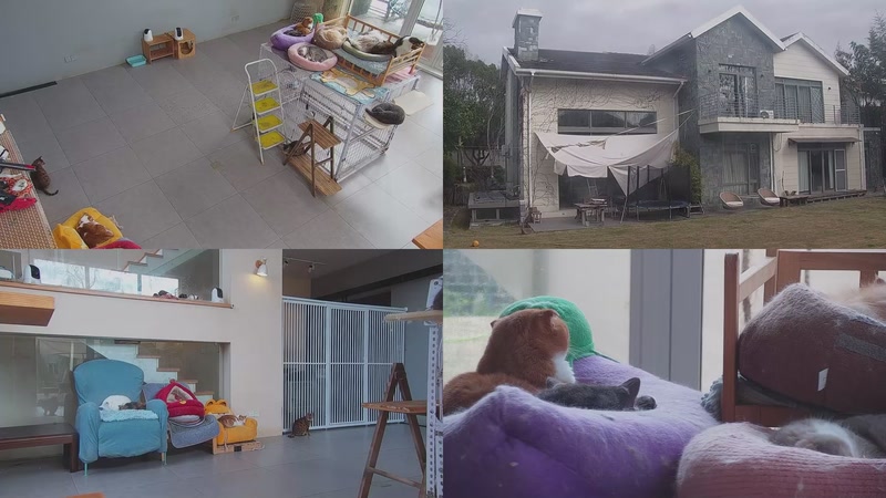 【2026-03-27 09点场】喵放送：喵放送☀️喵呜~