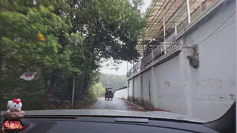 【2026-03-28 15点场】王大谋QoQ：开心最重要 11222