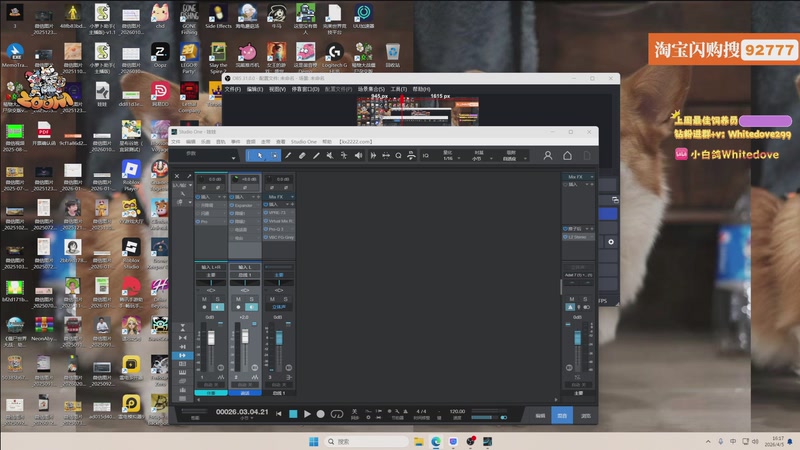 【2026-04-05 16点场】小白鸽WhiteDove：【小白鸽】保卫萝卜杂交版！
