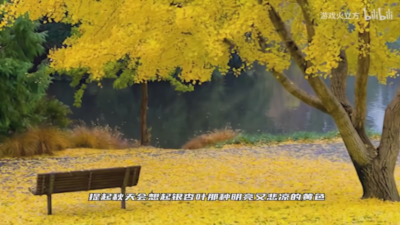 【2026-04-06 20点场】猫叔灬灬：【猫叔】银河挺好看的，：）