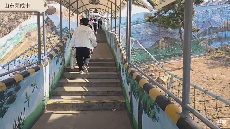 【2026-4-8 9点场】小石头徒步:去荣成动物园玩玩