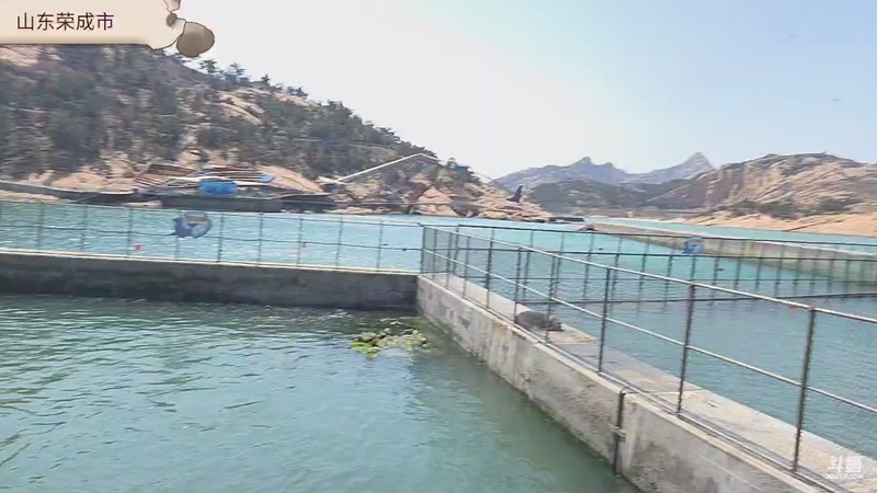 【2026-4-8 11点场】小石头徒步:去荣成动物园玩玩