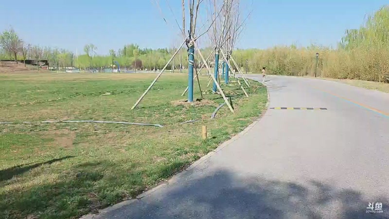 【2026-04-10 15点场】南枫阿i：来这里起飞就好了