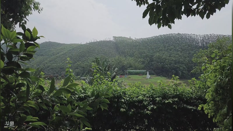 【2026-04-17 11点场】网友张顺飞：下午两点左右户外