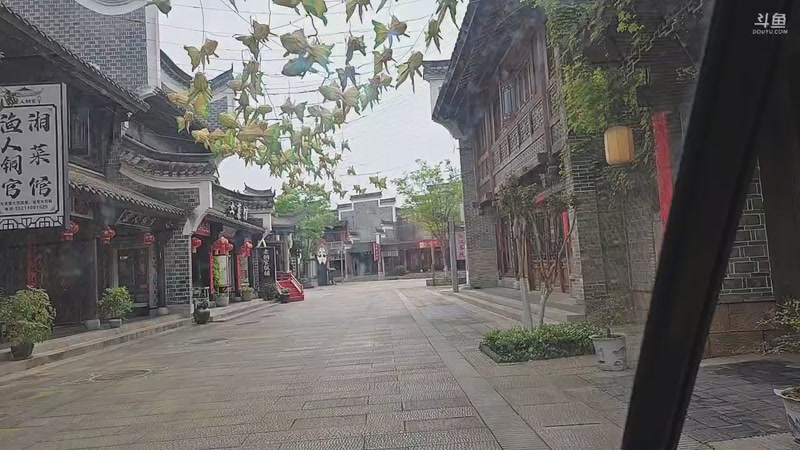 【2026-04-17 15点场】王大谋QoQ：祝亮亮生日快乐！
