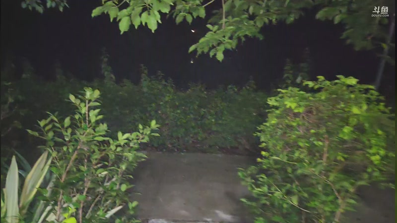 【2026-04-18 03点场】网友张顺飞：下午两点左右户外