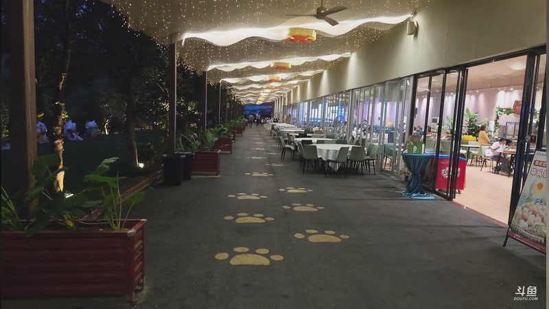 【2026-04-18 19点场】网友张顺飞：下午两点左右户外