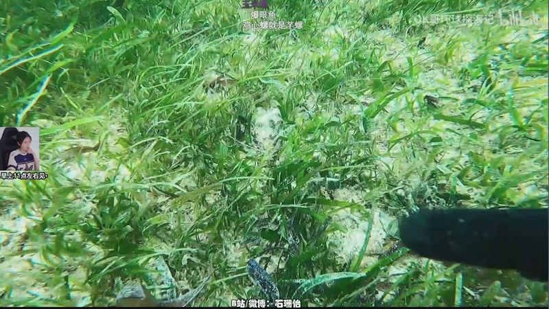 【2026-04-18 05点场】十三三三：中午11点左右见~