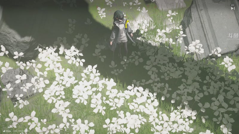 【2026-04-18 16点场】荣耀洋洋：【洋洋】小众，独立，单机游戏！