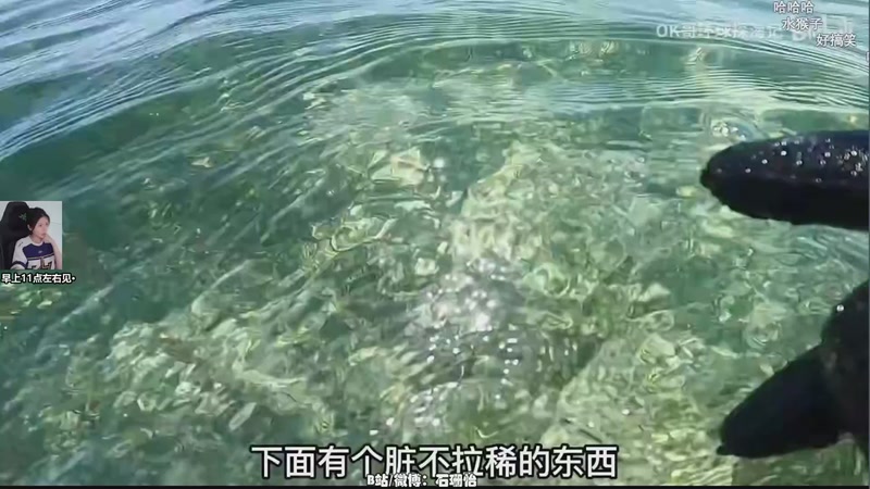 【2026-04-18 07点场】十三三三：中午11点左右见~