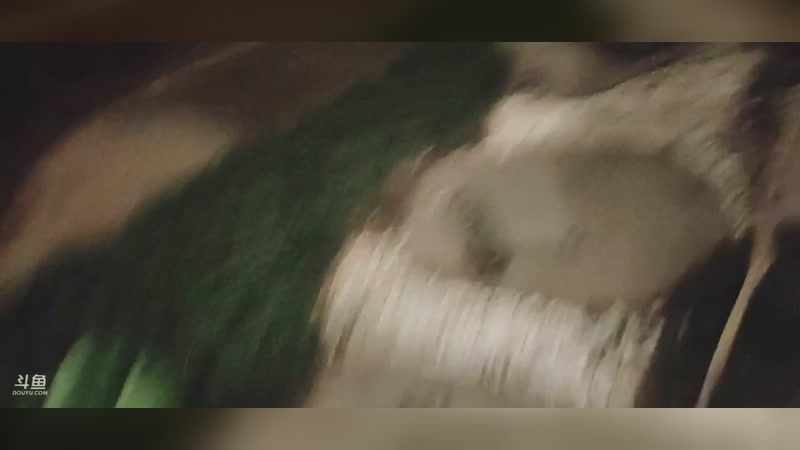 【2026-04-18 完整版】隐者丶丶：【小蜜蜂】马场丛林法则云南篇