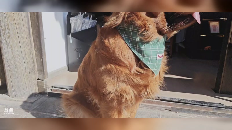 【2026-04-19 16点场】VG丶762：马场云南行