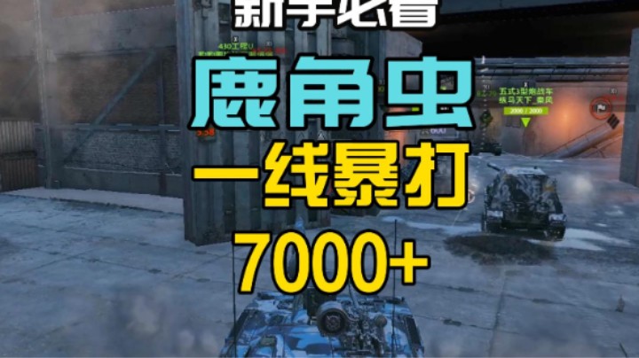 走正在冲锋路上的鹿角虫