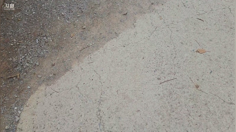 【2026-04-20 12点场】网友张顺飞：下午两点左右户外