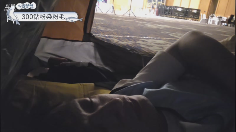 【2026-04-20 05点场】午夜抹抹茶：伐木训练营御书房