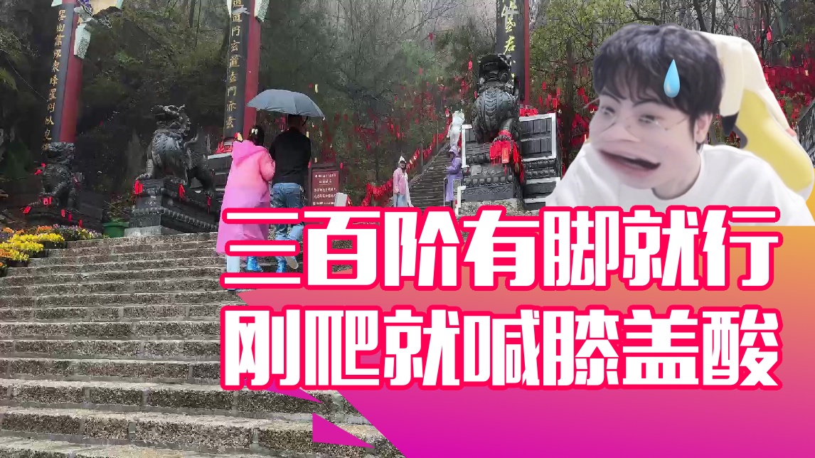 【Gemini】三百阶有脚就行 刚爬就喊膝盖酸