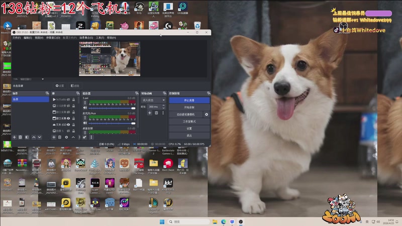 【2026-04-25 14点场】小白鸽WhiteDove：【小白鸽】钻份=12个飞机！