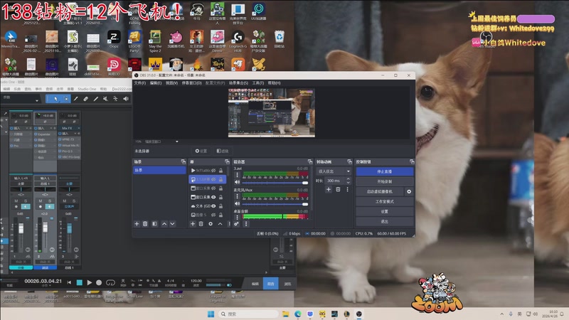【2026-04-26 16点场】小白鸽WhiteDove：【小白鸽】钻份=12个飞机！