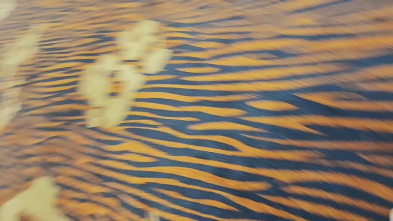 【2026-04-26 17点场】午夜抹抹茶：伐木训练营决赛日