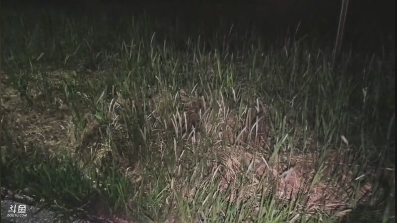 【2026-4-24 22点场】叫我好姑娘吧:感恩陪伴 11177