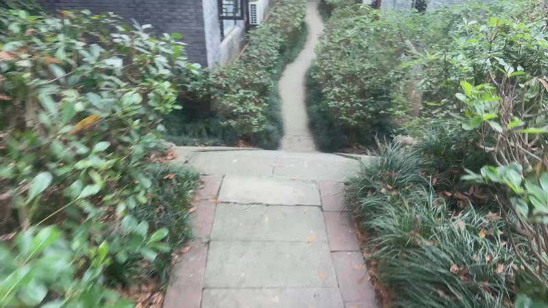 【2026-04-27 完整版】小皮【南波家族】：运动小子！