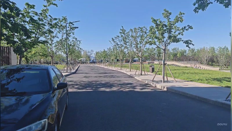 【2026-04-29 15点场】diyy刘頔：开始减肥锻炼第一天