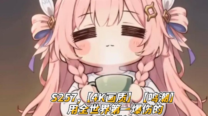 S257,【4K画质】【鸣潮】用全世界第一爆伤的爱弥斯和世一爆伤卡提希娅，没有操作-全是数值hhh通关冥歌海墟