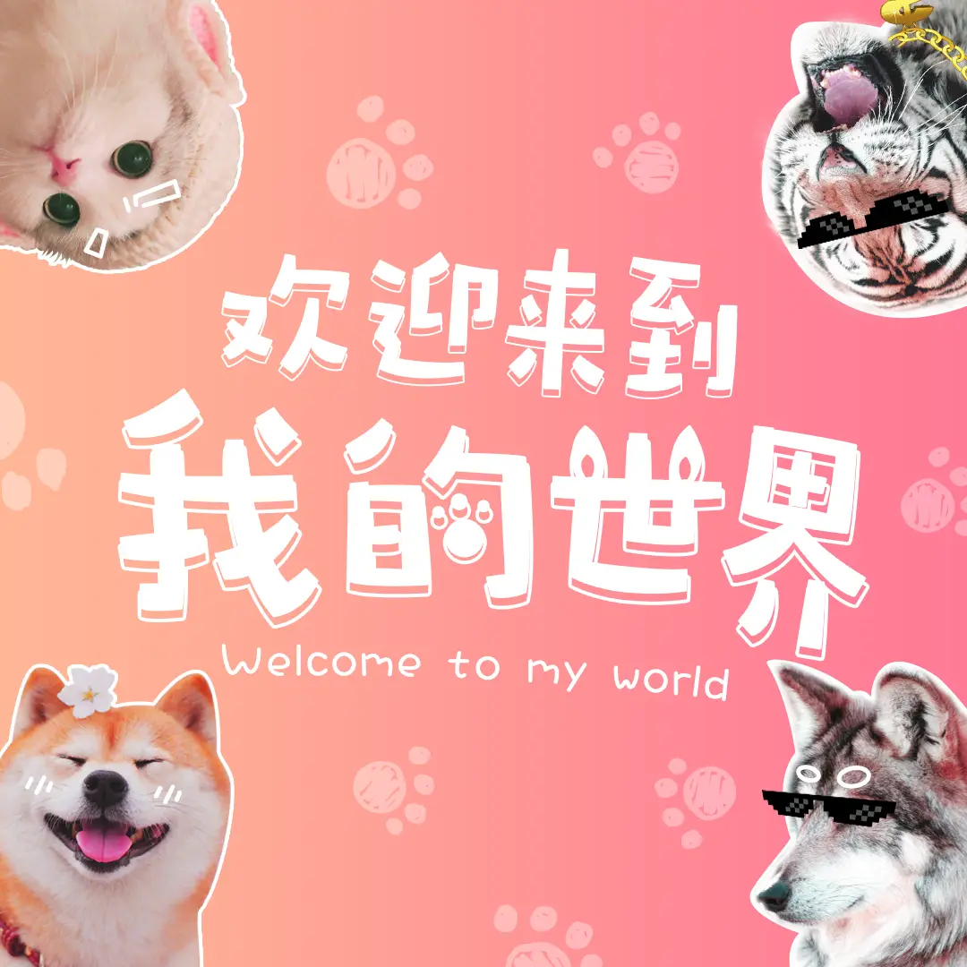 邱老板无恶不作直播 魔兽世界直播 斗鱼直播 邱老板无恶不作直播 魔兽世界直播 斗鱼直播